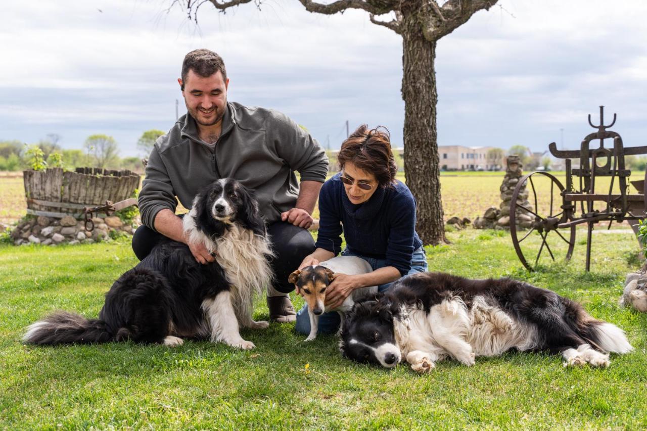 كستليوني ديلي ستفييرا Agriturismo Pozzo Fiorito المظهر الخارجي الصورة