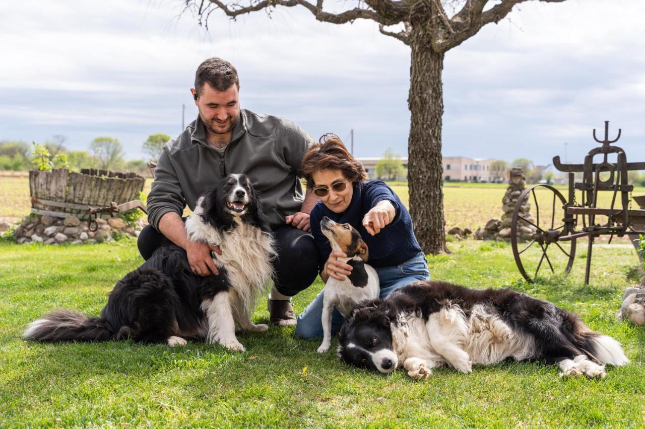كستليوني ديلي ستفييرا Agriturismo Pozzo Fiorito المظهر الخارجي الصورة