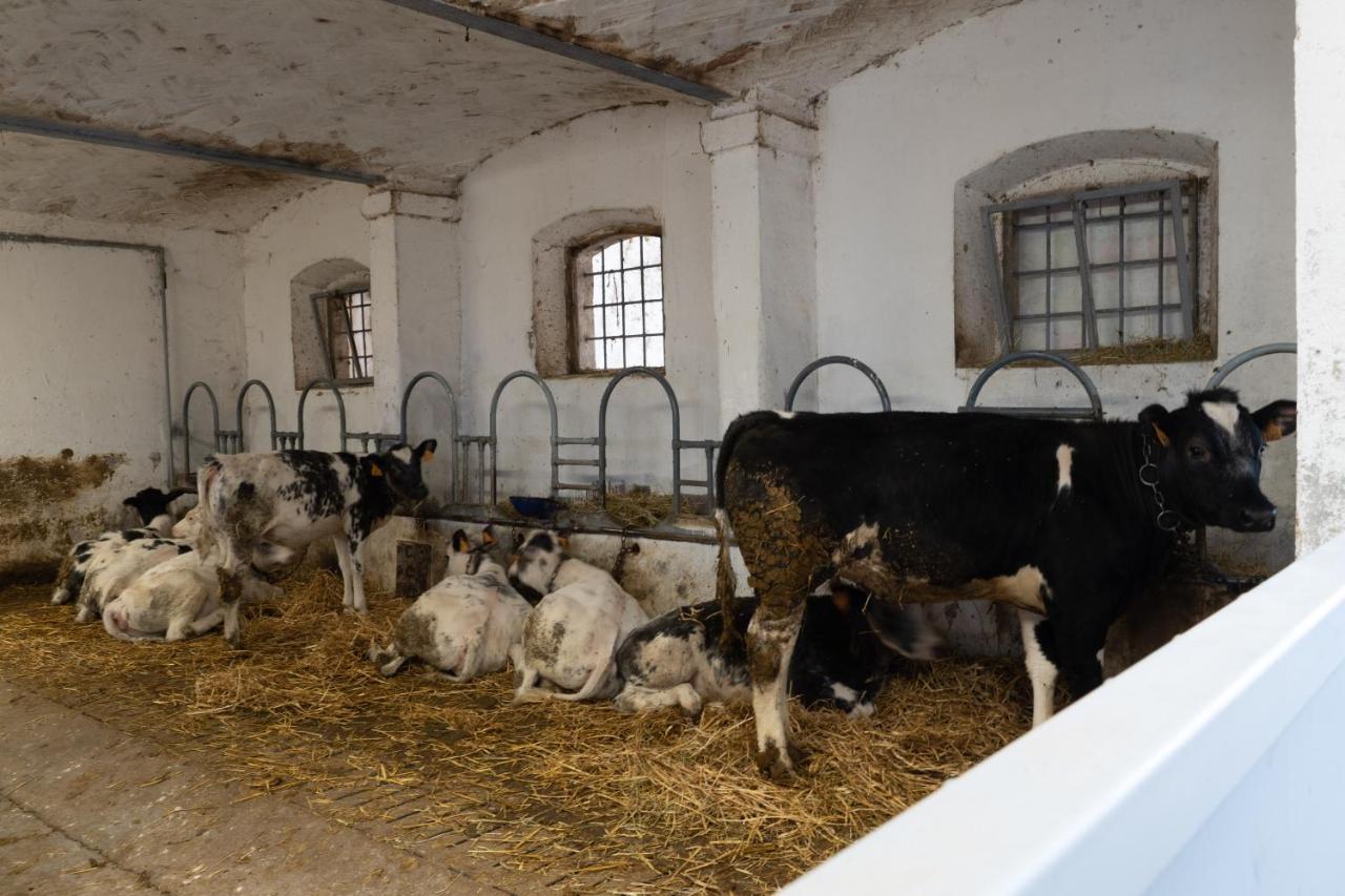 كستليوني ديلي ستفييرا Agriturismo Pozzo Fiorito المظهر الخارجي الصورة
